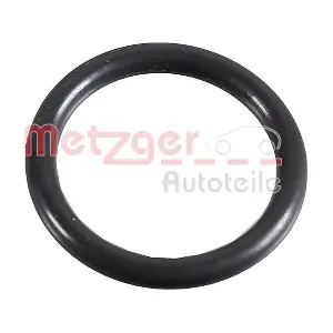2430041 METZGER AUTOTEILE