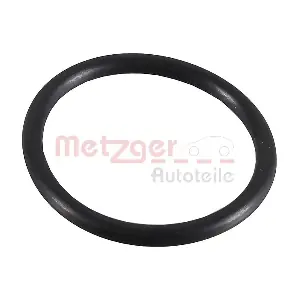 METZGER AUTOTEILE 2430032