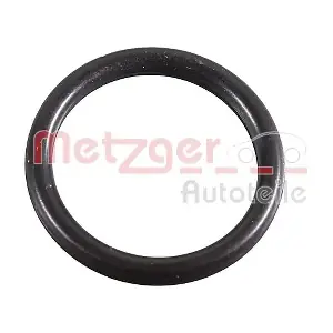 2430125 METZGER AUTOTEILE