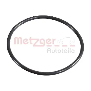 2430058 METZGER AUTOTEILE