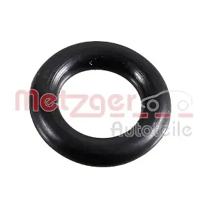 METZGER AUTOTEILE 2430079