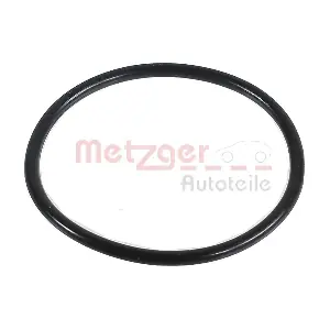 METZGER AUTOTEILE 2430030