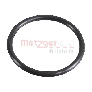 METZGER AUTOTEILE 2430129