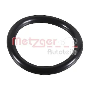 2430108 METZGER AUTOTEILE