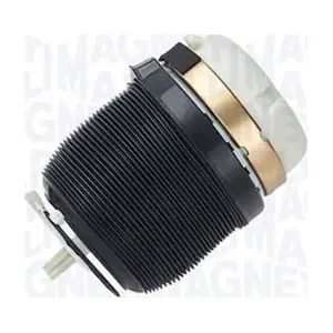 350001000002 MAGNETI MARELLI