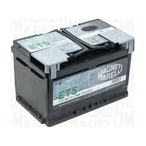 MAGNETI MARELLI 069071670006