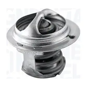 352029477000 MAGNETI MARELLI