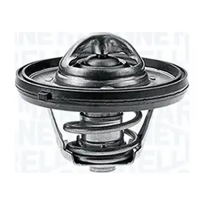 MAGNETI MARELLI 352042088000
