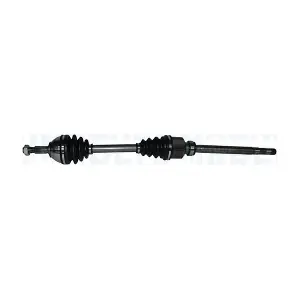 MAGNETI MARELLI 302004190046