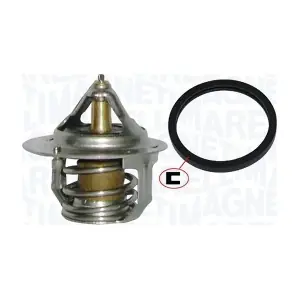 352317100610 MAGNETI MARELLI