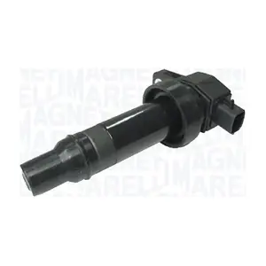 MAGNETI MARELLI 060717236012