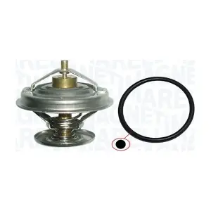 352317003920 MAGNETI MARELLI