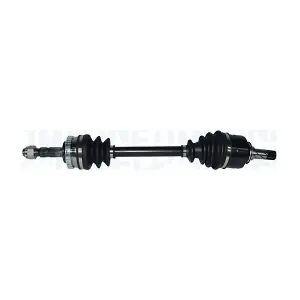 302004190272 MAGNETI MARELLI