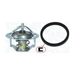 MAGNETI MARELLI 352317100840