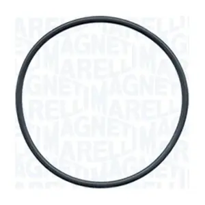 MAGNETI MARELLI 350984253000