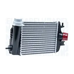 351319206110 MAGNETI MARELLI