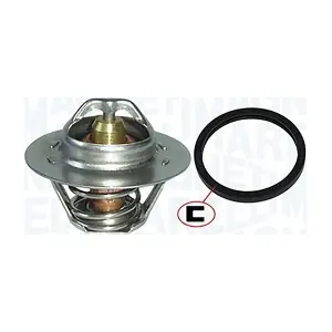 352317001020 MAGNETI MARELLI