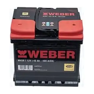 MAGNETI MARELLI 067045360001