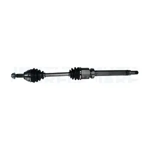 302004190060 MAGNETI MARELLI