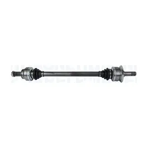 MAGNETI MARELLI 302004190138