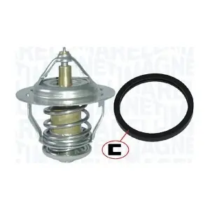 MAGNETI MARELLI 352317100510