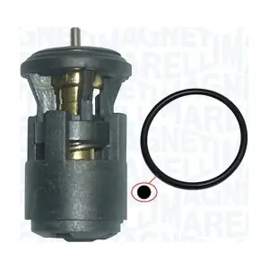352317002860 MAGNETI MARELLI