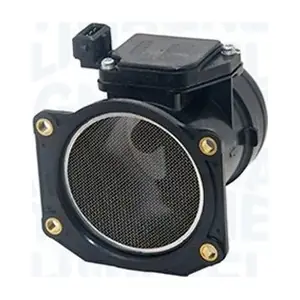 213719666010 MAGNETI MARELLI