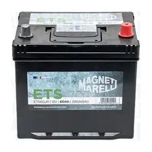 MAGNETI MARELLI 069060390006
