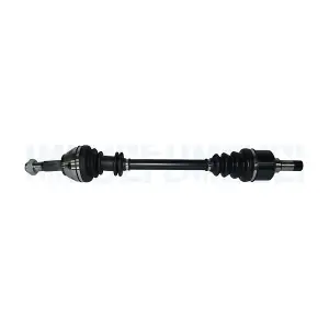 302004190393 MAGNETI MARELLI