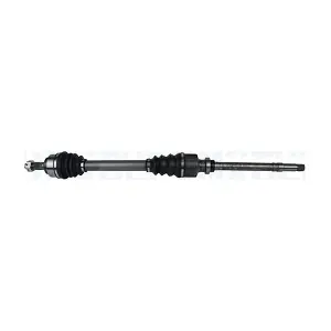 302004190225 MAGNETI MARELLI