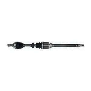 MAGNETI MARELLI 302004190167