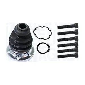302025100038 MAGNETI MARELLI