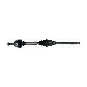 302004190366 MAGNETI MARELLI