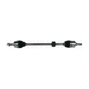 MAGNETI MARELLI 302004190326