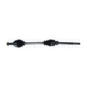 MAGNETI MARELLI 302004190153
