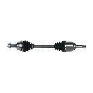 MAGNETI MARELLI 302004190339