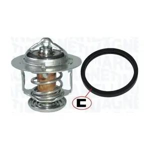 MAGNETI MARELLI 352317101220