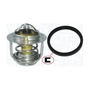 MAGNETI MARELLI 352317100790