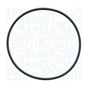 MAGNETI MARELLI 350984242000