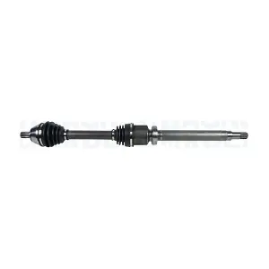 MAGNETI MARELLI 302004190170