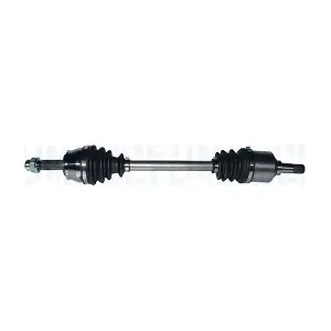 302004190319 MAGNETI MARELLI
