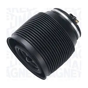 350350100002 MAGNETI MARELLI