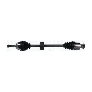 302004190239 MAGNETI MARELLI