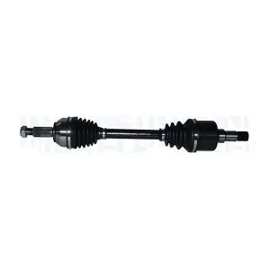 302004190053 MAGNETI MARELLI