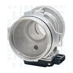 213719766010 MAGNETI MARELLI