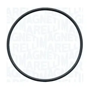 350984347000 MAGNETI MARELLI