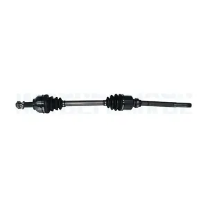 302004190156 MAGNETI MARELLI