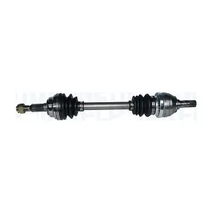 MAGNETI MARELLI 302004190273