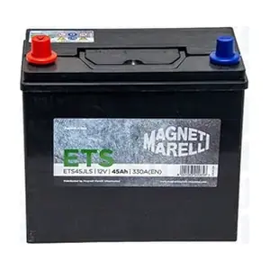 069045330216 MAGNETI MARELLI