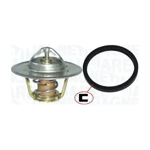 MAGNETI MARELLI 352317100560
